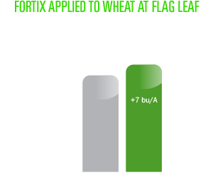 FORTIX APPLIED TO WHEAT AT FLAG LEAF