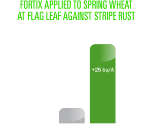 Fortix applied to spring wheat at flag leaf against stripe rust
